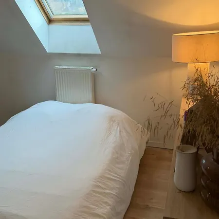 - 20min Du Circuit Des 24h Et Du Zoo De La Fleche *