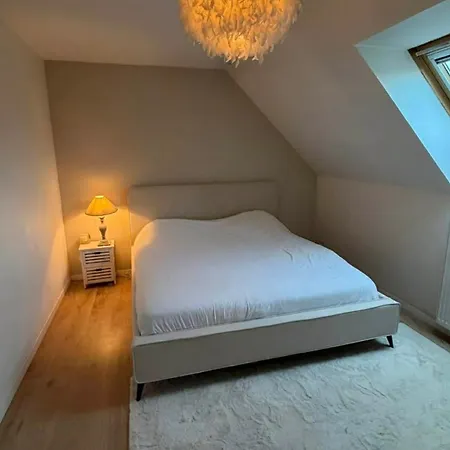 - 20min Du Circuit Des 24h Et Du Zoo De La Fleche Holiday home *