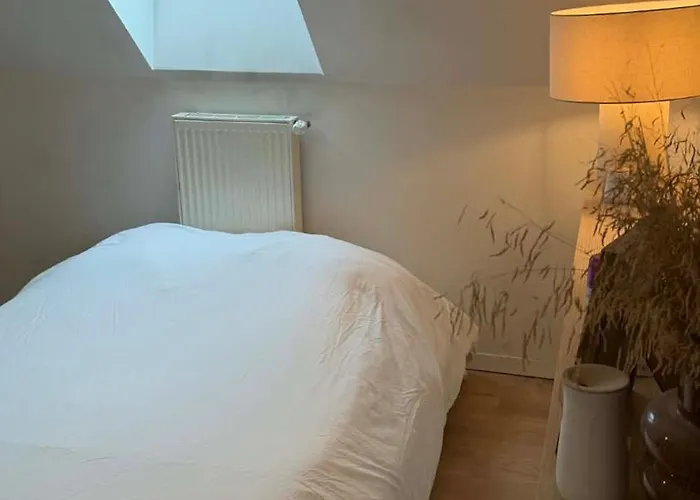 - 20min Du Circuit Des 24h Et Du Zoo De La Fleche *