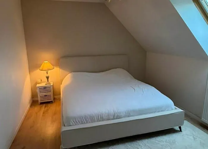 - 20min Du Circuit Des 24h Et Du Zoo De La Fleche Holiday home *