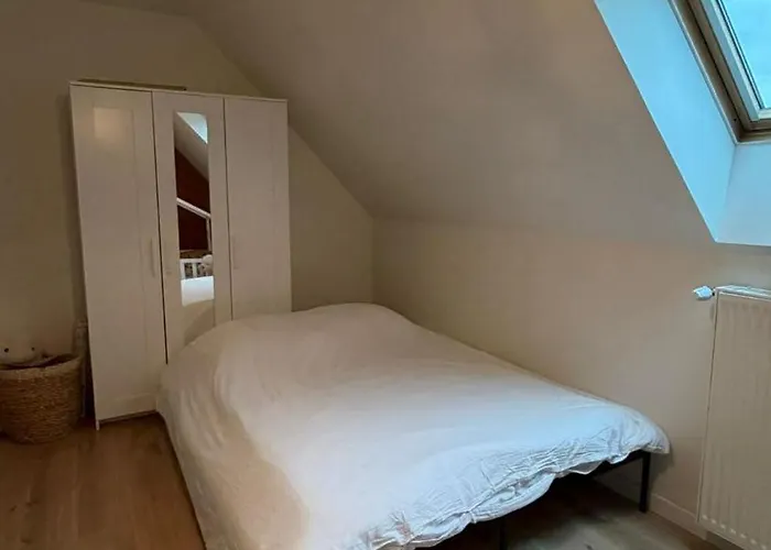 - 20min Du Circuit Des 24h Et Du Zoo De La Fleche Holiday home *